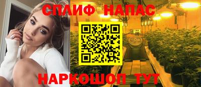 гидра Нарткала