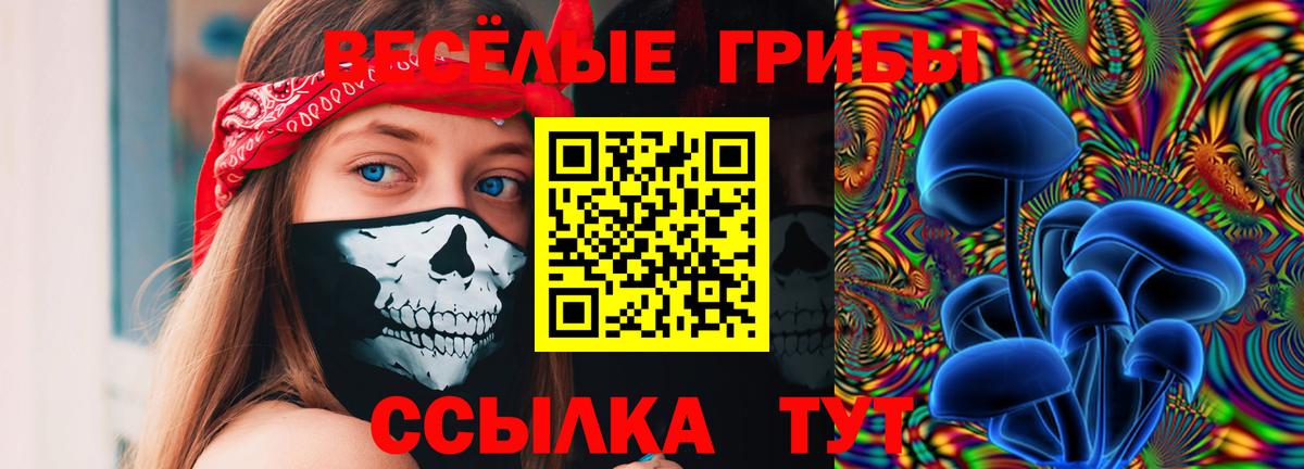 Томск  купить  цена  Псилоцибиновые грибы ЛСД  Вход с VPN  Галлюциногенные грибы Cubensis 