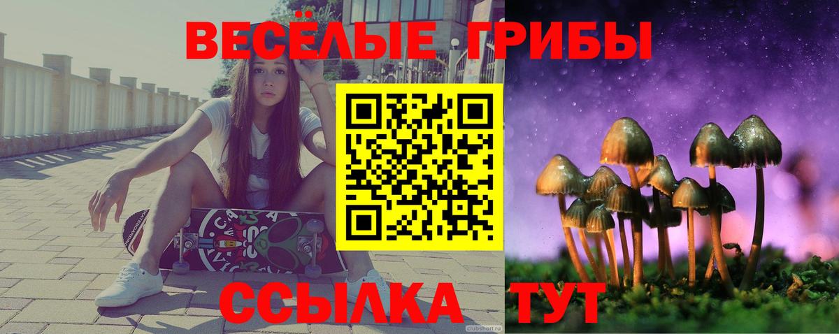 Галлюциногенные грибы Magic Shrooms Томск